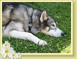 IMG_0770